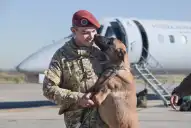 Con perros de rescate y personal sanitario, Argentina se sumó al operativo internacional en Venezuela