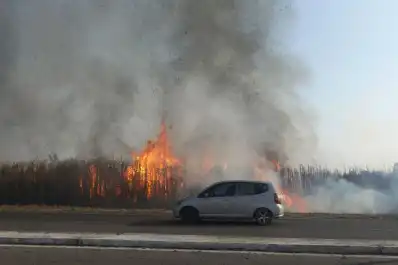 Fuego: días clave para acciones preventivas