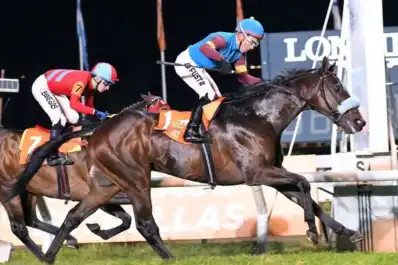 Turf: Neat Colt alcanzó la gloria en San Isidro