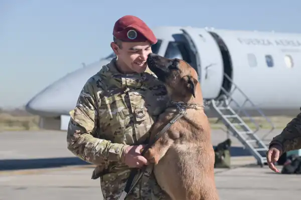 Con perros de rescate y personal sanitario, Argentina se sumó al operativo internacional en Venezuela
