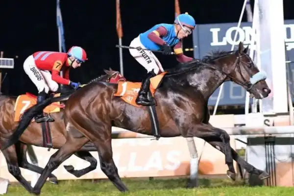 Turf: Neat Colt alcanzó la gloria en San Isidro
