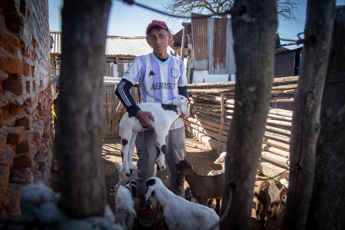 ARRAIGO. Tito Mario Nieva sostiene uno de los cabritos que cría en su corral de Los Jereces. La venta de animales y la elaboración de quesos de cabra son su principal fuente de ingresos, una actividad que lo mantiene ligado al paraje donde nació hace 65 años.