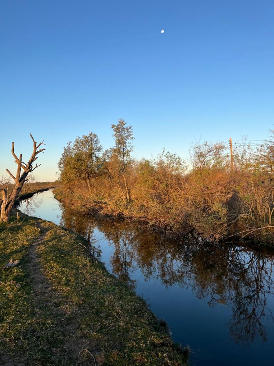 CAMBIO. El arroyo que hoy atraviesa el acceso a Sol de Mayo se formó tras las grandes inundaciones que afectaron la zona.