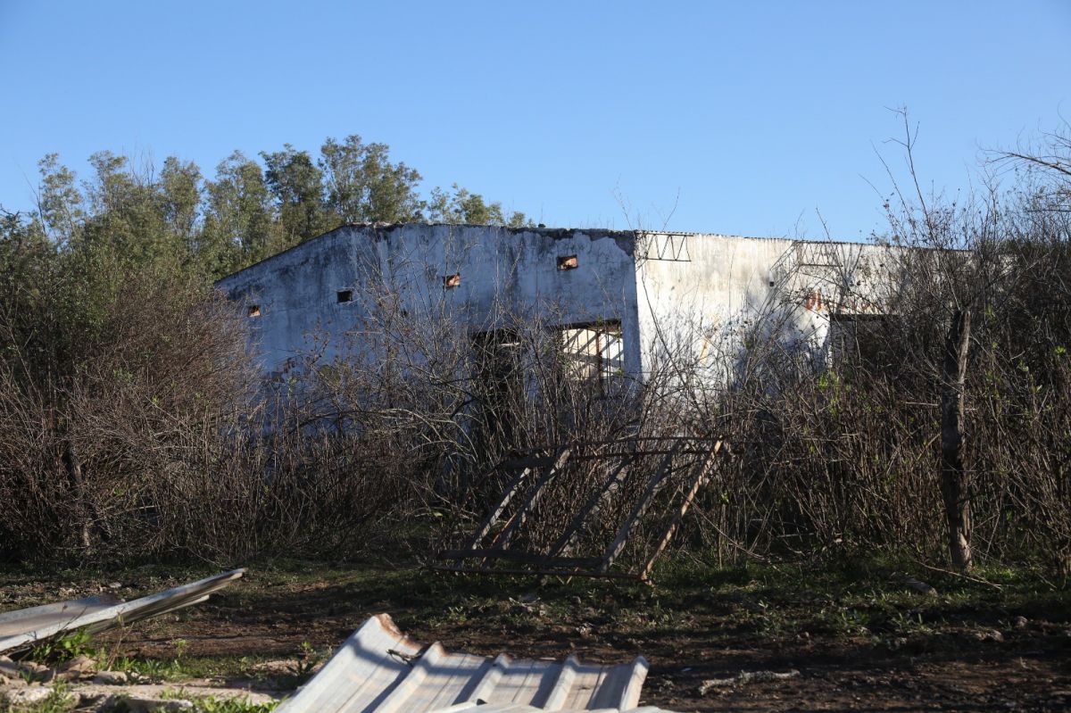 OLVIDO. La Escuela N° 151 de Sol de Mayo quedó rodeada por la vegetación después de años de inundaciones y del éxodo de las familias. El establecimiento dejó de funcionar al inicio del ciclo lectivo de 2024 por falta de alumnos.