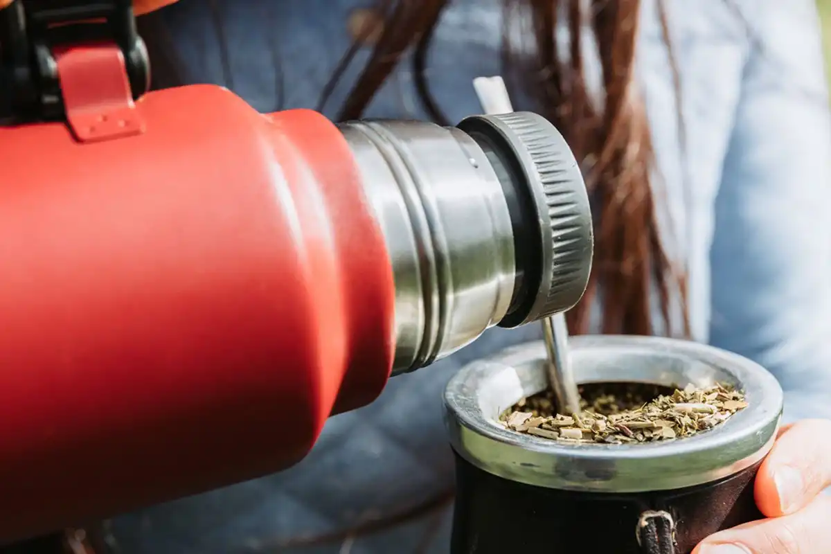 Qué termos son seguros para tomar mate y cuáles podrían representar un riesgo para la salud