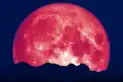 Luna de Fresa 2026: los cuatro signos que vivirán los cambios más importantes