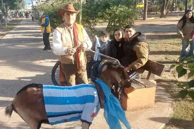 El otro GOAT de la Selección: la historia de Valoy, el chivo que es cábala de Argentina en Santiago del Estero