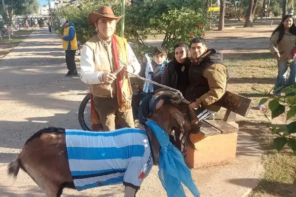 El otro GOAT de la Selección: la historia de Valoy, el chivo que es cábala de Argentina en Santiago del Estero