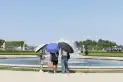 Europa registra 1.300 muertes adicionales por la ola de calor