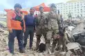 Bart, el perro argentino que ayudó a rescatar a dos niños atrapados entre los escombros en Venezuela