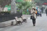 Alerta amarilla por frío extremo y vientos fuertes: el SMN advirtió por temperaturas peligrosas para la salud este lunes