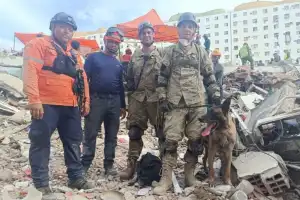 Bart, el perro argentino que ayudó a rescatar a dos niños atrapados entre los escombros en Venezuela