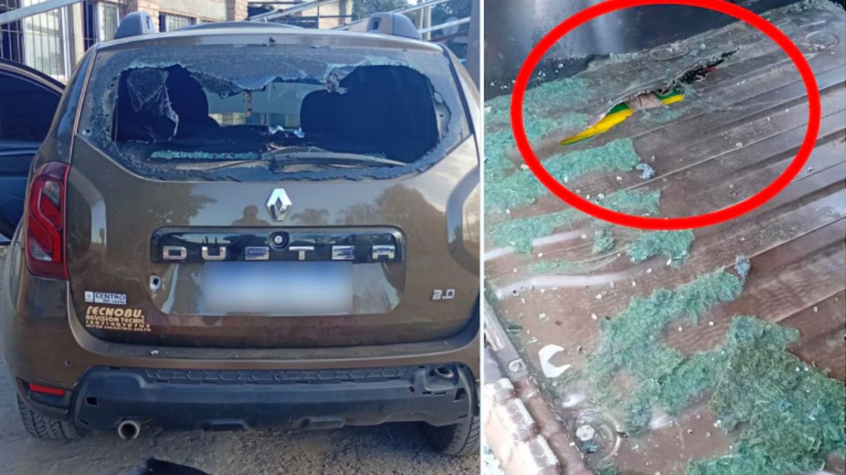 El insólito error que delató a una médica de Gendarmería y a una cosmetóloga con un cargamento de droga en Salta