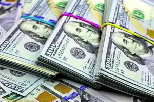 Dólar 2024: los analistas ajustan sus proyecciones al alza, pero los gurúes más precisos ven un cierre moderado