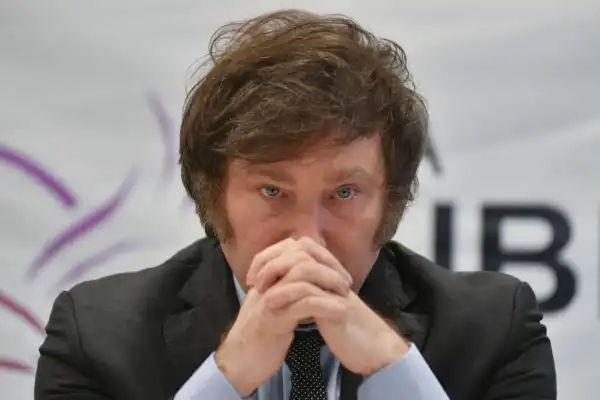 ¿Qué tanto le interesa a Milei ganar gobernaciones?