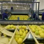 Tucumán reclamó a Nación un reparto equitativo y federal del gas para evitar mayor perjuicio al sector productivo
