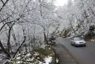 ¿Puede nevar en Tafí del Valle este jueves 2 de julio? Qué dice el pronóstico