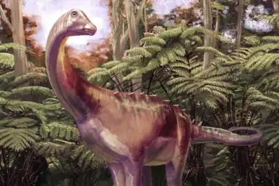 El primer fósil de dinosaurio hallado en la Antártida estuvo décadas en un cajón y ahora revela su verdadera identidad