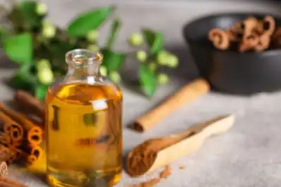 Ritual del 1° de julio: dónde colocar un frasco con canela y romero para atraer abundancia
