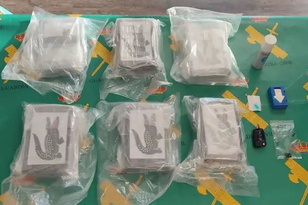 Apareció un nuevo sello en la cocaína: ¿de la mafia albanesa o del cártel de Sinaloa?