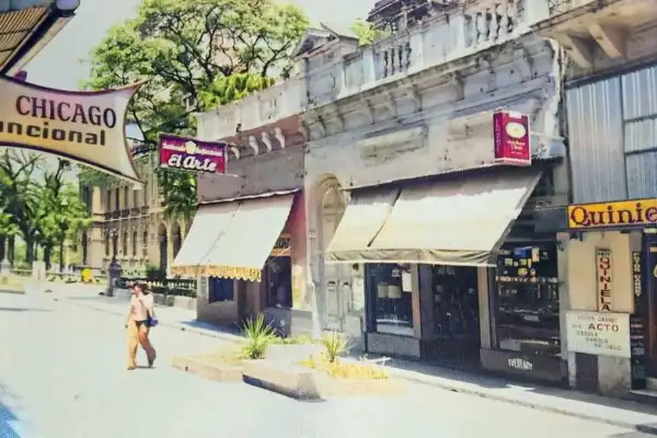 Recuerdos fotográficos: cuando San Martín al 500 fue peatonal y en los canteros alguien sembró plantas de marihuana