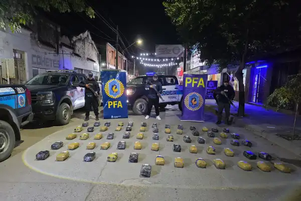 Secuestraron 71 kilos de marihuana durante un operativo en la frontera con Bolivia