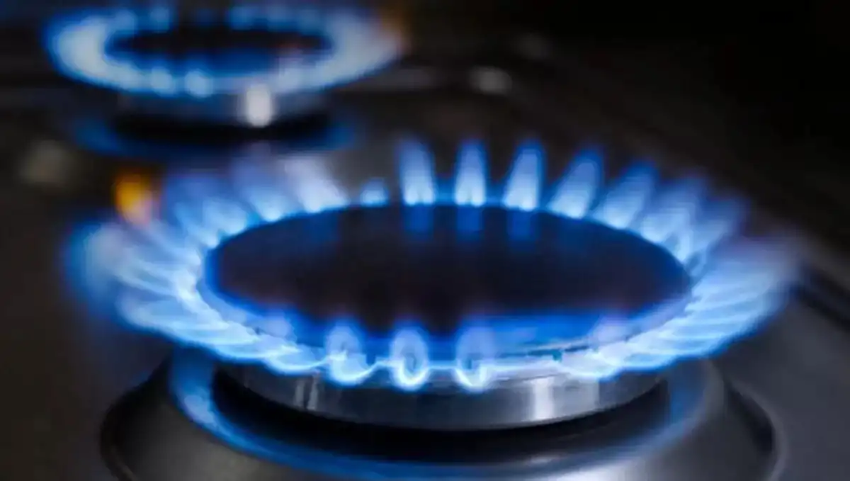 Aumentaron las tarifas de gas natural: oficializaron un nuevo ajuste para los usuarios