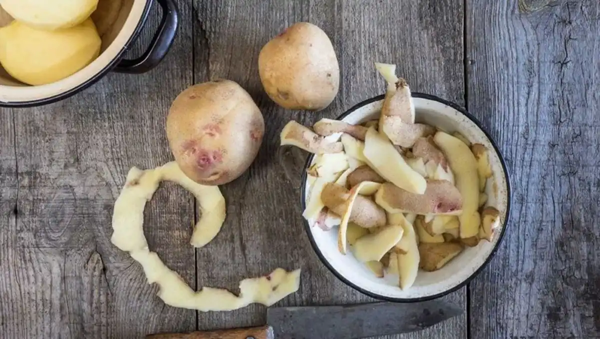 Cuatro razones para usar cáscaras de papa y bicarbonato en tu jardín