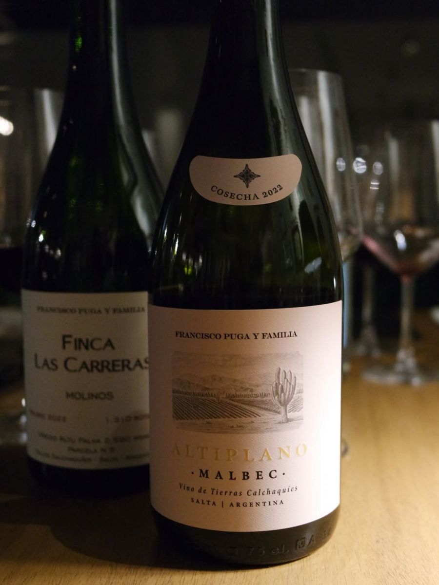 Tintos, blancos y un rosado: los vinos del NOA que Tim Atkin validó ante el mundo en 2026