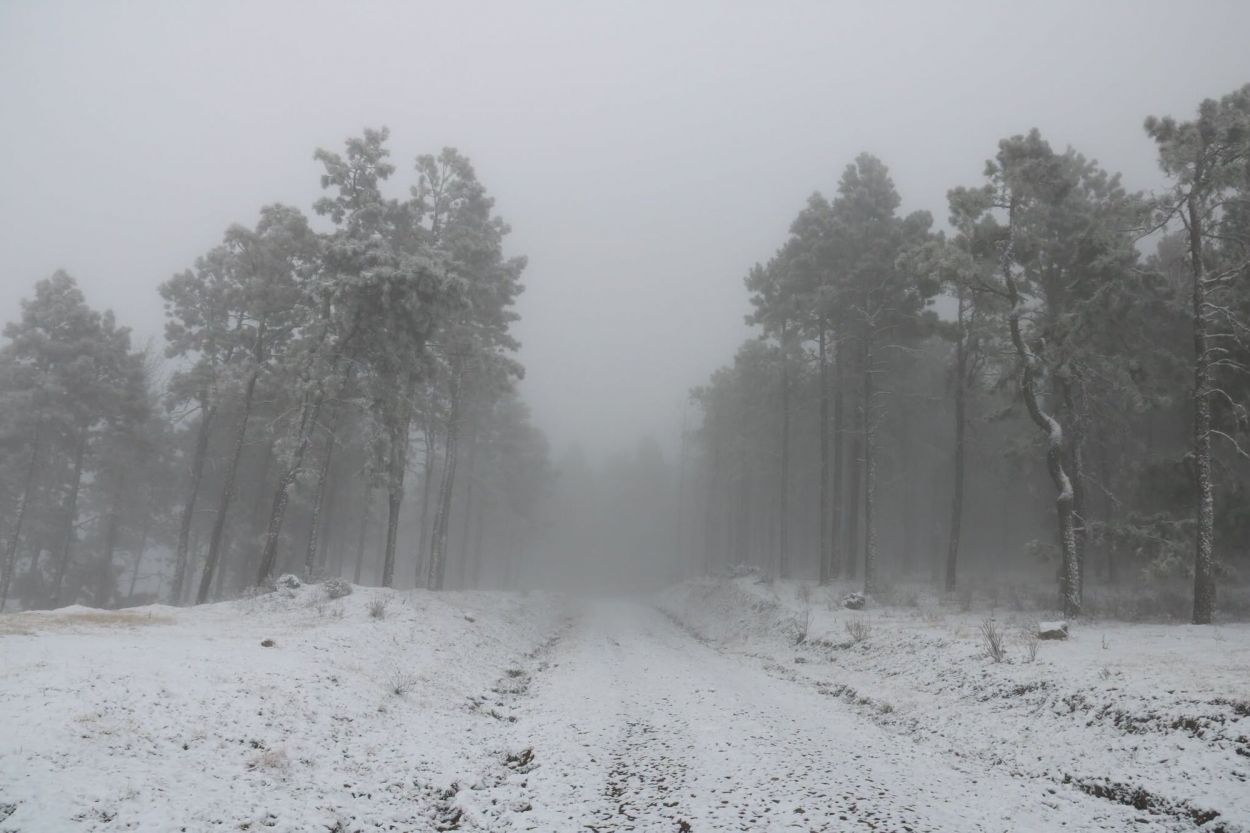 LUGARES. La nevada tafinista fue más copiosa en Las Carreras y en El Pinar.
