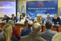 Digesto Jurídico: en la Legislatura revisaron más de 100 leyes y preparan otra actualización