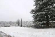 ¿Cómo estará el tiempo en Tafí del Valle este viernes 3 de julio?