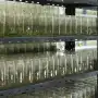 Vitroplantas: la Eeaoc cumple 25 años de producir y distribuir caña semilla de calidad