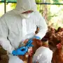 Incorporan al Senasa a la red para gestión de riesgos