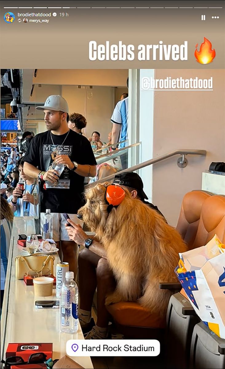 Furor en Miami: quién es Brodie, el perro influencer que se robó todas las miradas en el partido de Argentina