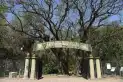 Vacaciones en el parque Percy Hill: dos semanas de actividades gratuitas al aire libre