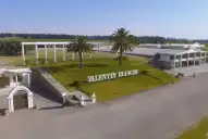 Se profundiza la crisis de empresas históricas: Frutafiel pidió concurso preventivo y Bodegas Bianchi despidió personal