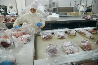 Argentina cumplió con el total de la Cuota Hilton para el ciclo 2025-2026