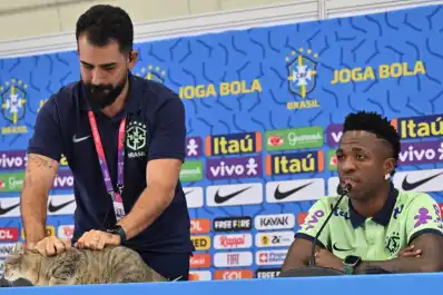La insólita maldición del gato que volvió a viralizarse tras la eliminación de Brasil del Mundial