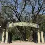 Vacaciones en el parque Percy Hill: dos semanas de actividades gratuitas al aire libre