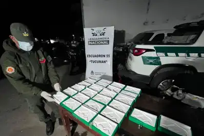 En cinco días secuestraron 61 kilos de cocaína en Tucumán