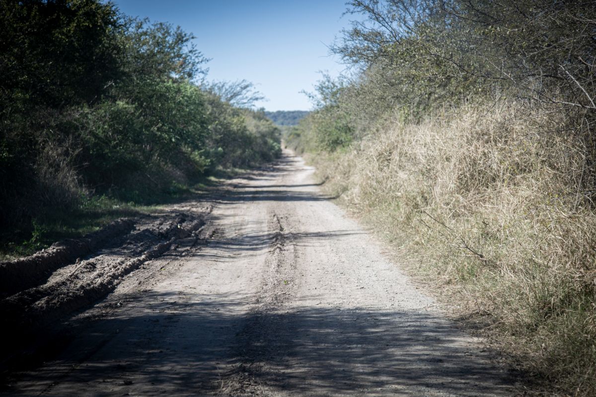Así son los caminos internos de Laguna de Robles.