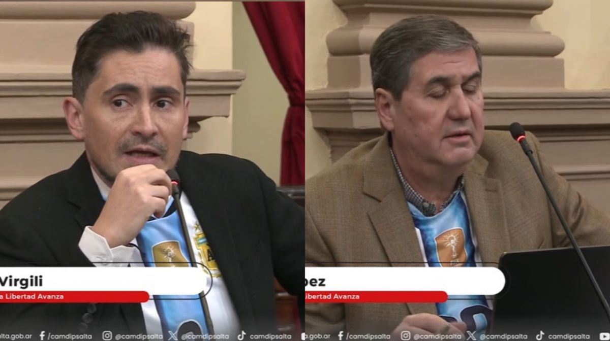 Con camisetas y la cara pintada: legisladores salteños homenajearon a la Scaloneta y vincularon el triunfo con Javier Milei