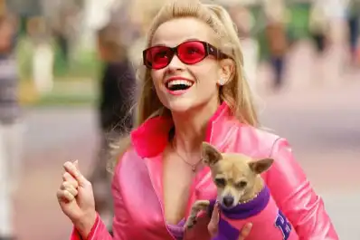 Legalmente rubia vuelve en formato serie: cómo es Elle, la precuela de Prime Video