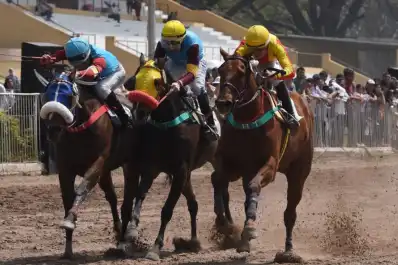 Turf: El domingo se disputarán 10 competencias de primer nivel