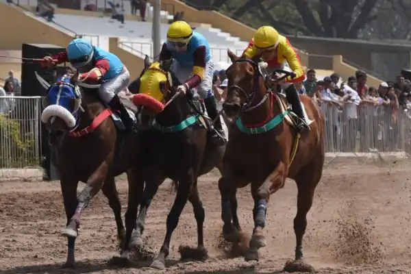 Turf: El domingo se disputarán 10 competencias de primer nivel