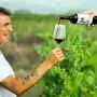 De marcarle un try a los All Blacks a elaborar vinos con el mismo carácter que Los Pumas mostraron en 2011