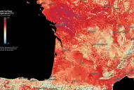 Ola de calor en Europa: un estudio reveló que rompió todos los pronósticos científicos de hace 50 años