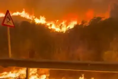 Impactantes videos del incendio en Almería, España: turistas calcinados en sus autos, desaparecidos y miles de evacuados