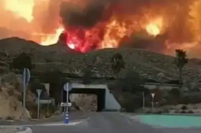 Tragedia en España: un voraz incendio forestal dejó 12 muertos y decenas de heridos